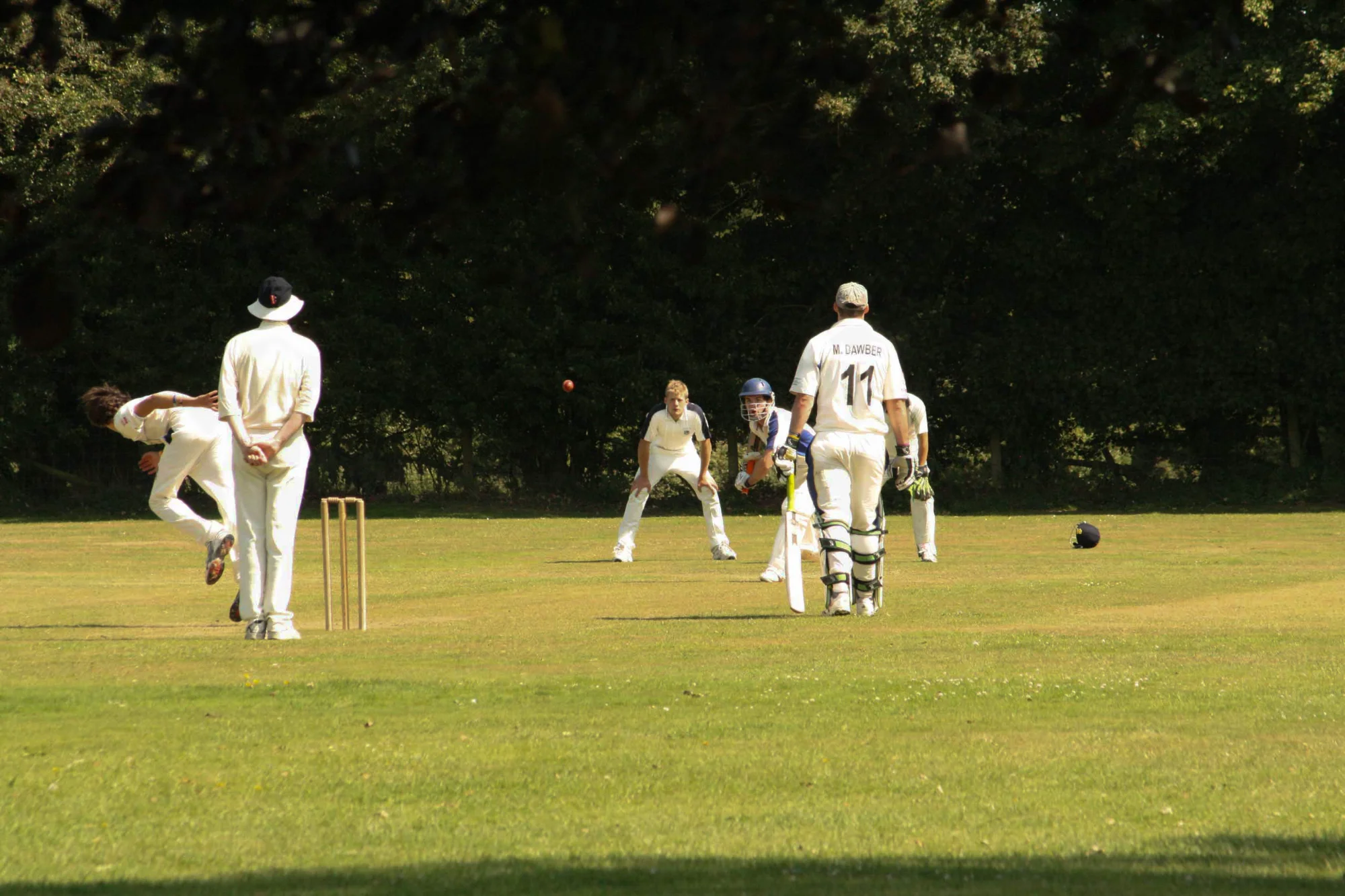 Chalvington & Ripe Cricket Club