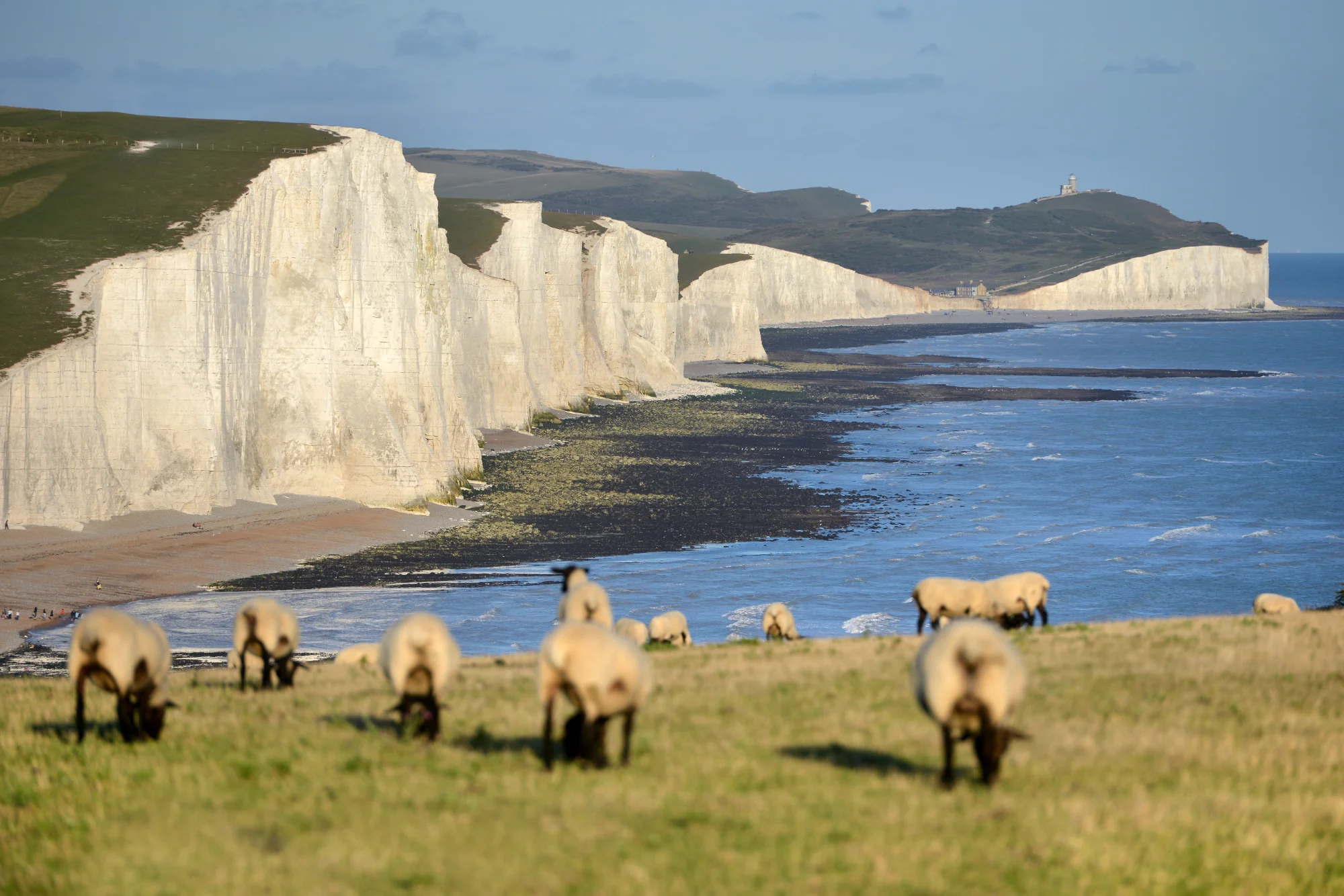 Sublime Sussex
